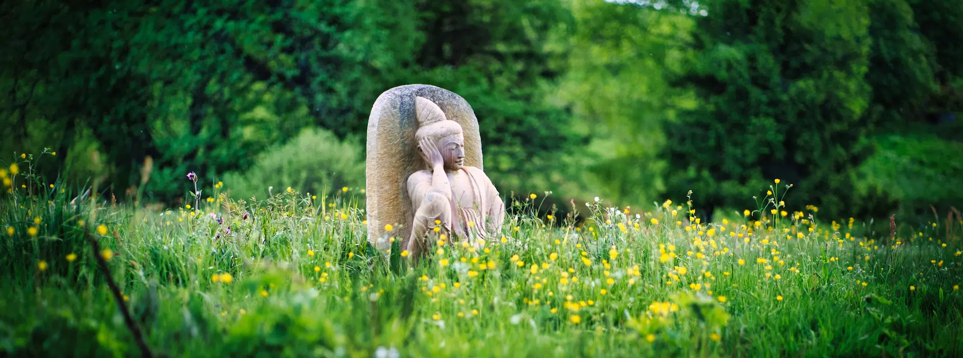 Zeigt Buddha des Ekayana Institut