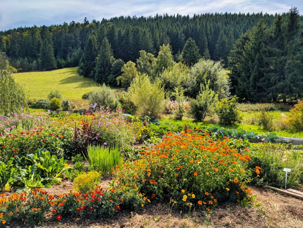 Gartentag beim Ekayana Retreathaus