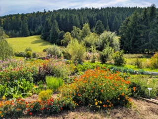 Gartentag beim Ekayana Retreathaus