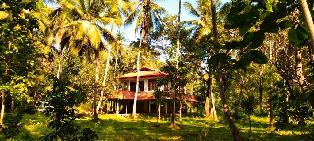 Bild für das Event 10 Tages Meditation Retreat – Sri Lanka